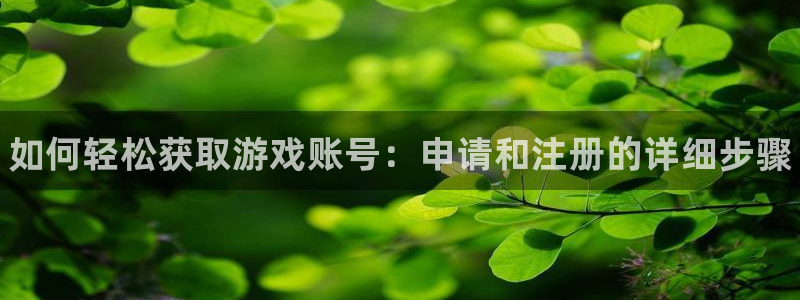 极悦娱乐平台负责人：如何轻松获取游戏账号：申请和注册的详细步