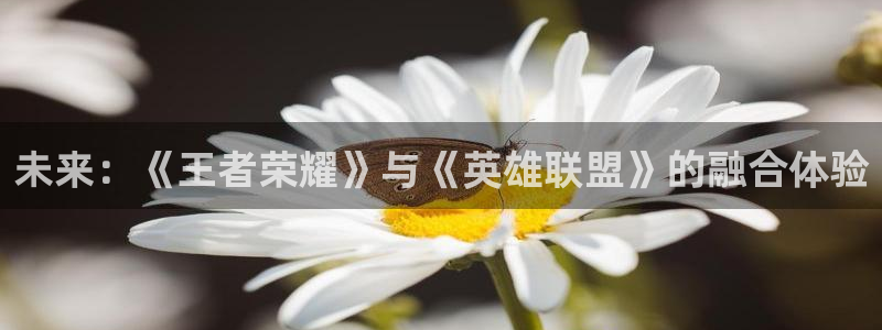 极悦娱乐官网：未来：《王者荣耀》与《英雄联盟》的融合体验