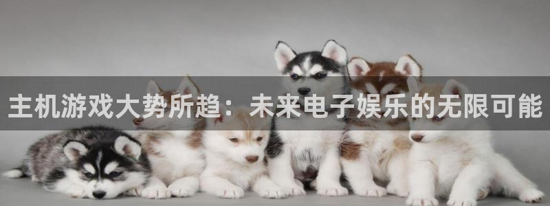 极悦娱乐网页登录入口：主机游戏大势所趋：未来电子娱乐的无限可