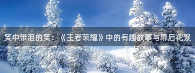 极悦娱乐集团：笑中带泪的笑：《王者荣耀》中的有趣故事与幕后花