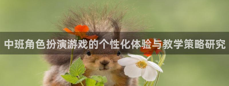 极悦娱乐什么意思：中班角色扮演游戏的个性化体验与教学策略研究