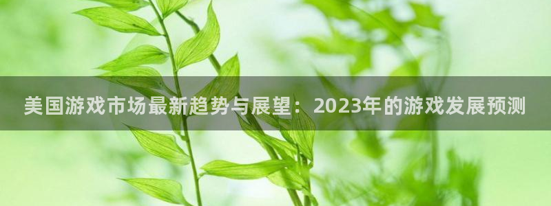 极悦娱乐下载：美国游戏市场最新趋势与展望：2023年的游戏发