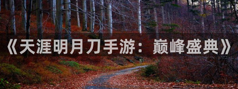 极悦娱乐注册服务条款：《天涯明月刀手游：巅峰盛典》