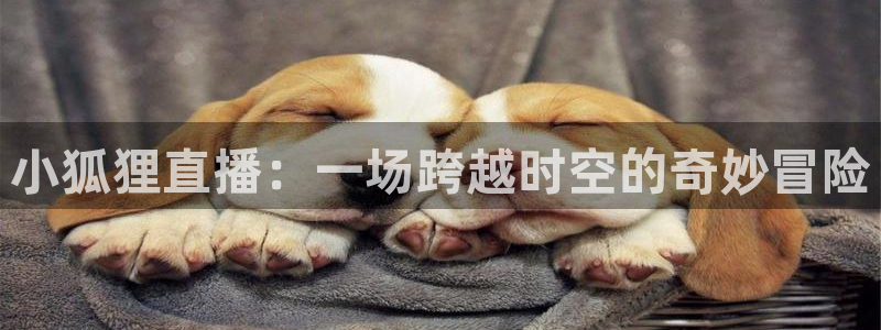 五星体育直播表