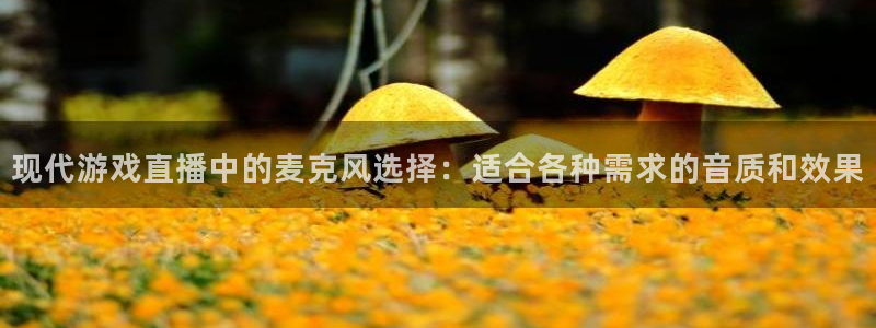 五星体育直播官网：现代游戏直播中的麦克风选择：适合各种需求的音质和效果