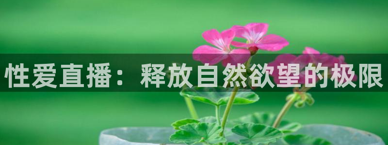 五星体育直播nba：性爱直播：释放自然欲望的极限