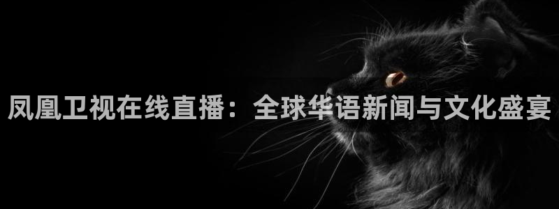 哪里能看到五星体育直播：凤凰卫视在线直播：全球华语新闻与文化盛宴