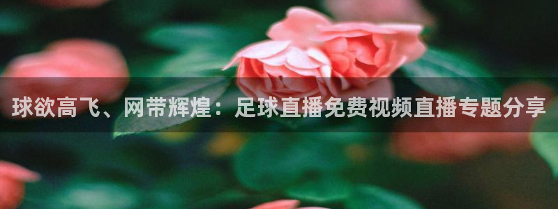 上海五星体育cba直播：球欲高飞、网带辉煌：足球直播免费视频直播专题分享